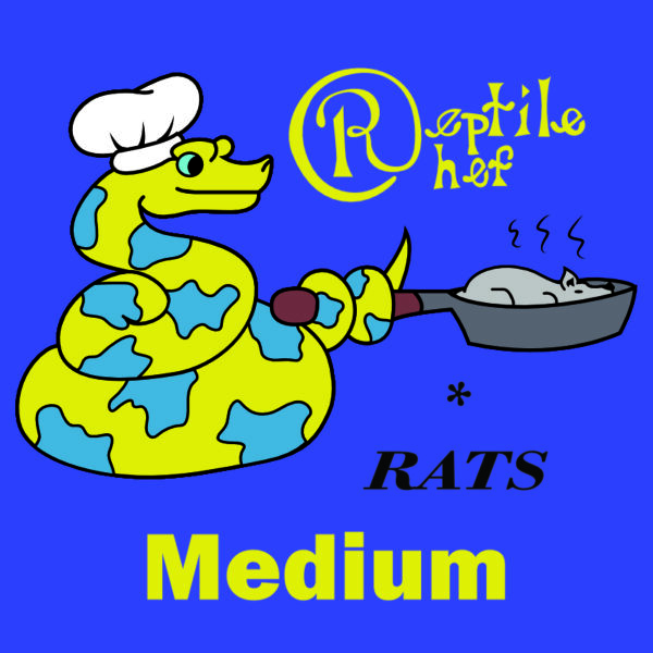 Medium (Pack of 8 Rats)