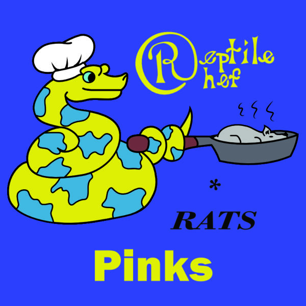 Pinks (Pack of 20 Rats)