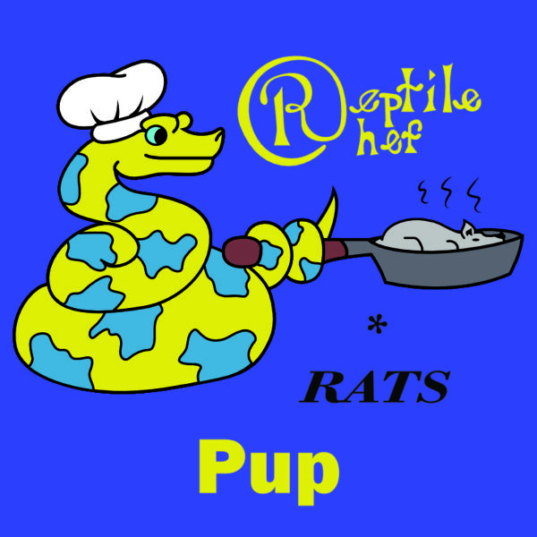 Pup (Pack of 25 Rats)