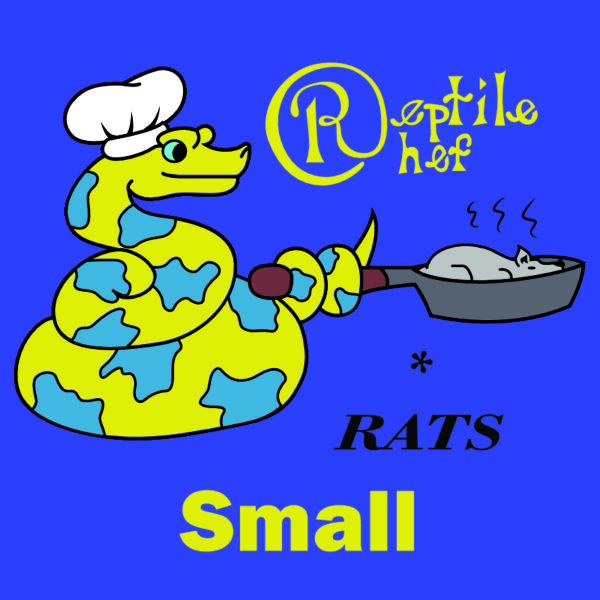 Small (Pack of 12 Rats)