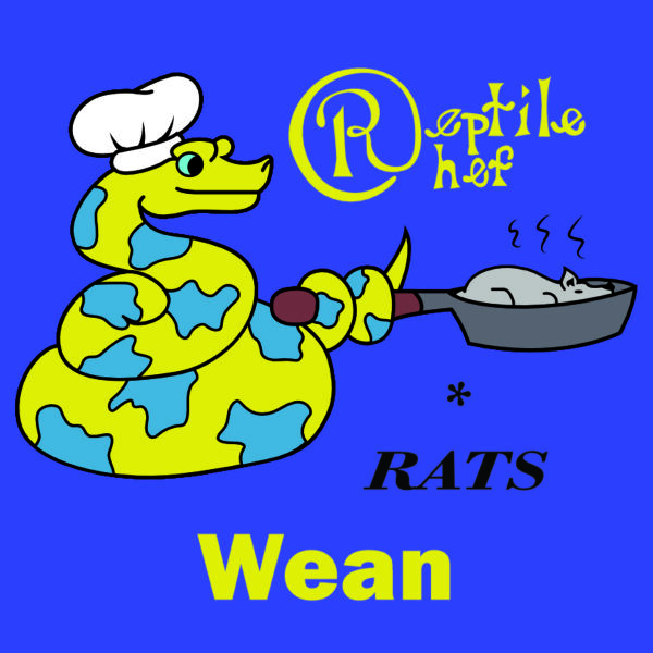 Wean (Pack of 18 Rats)