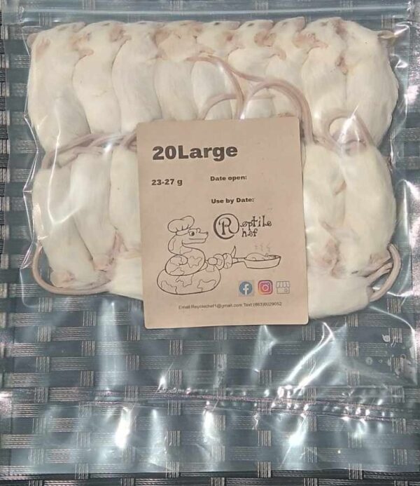 Large $1.05 each (Pack of 20 Mice) - Image 2